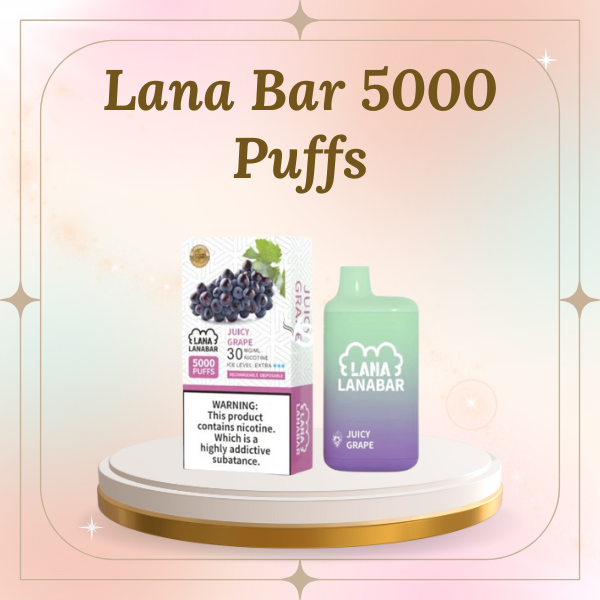 Lana Bar 5000 Puffs Disposable Vape - Rechargeable 850mAh Device in Multiple Flavors