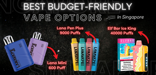Best Budget-Friendly Vape Options in Singapore 2026