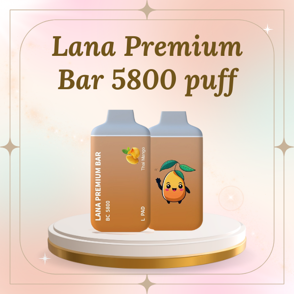 Lana Premium Bar 5800 Puffs Disposable Vape device with Type-C charging port