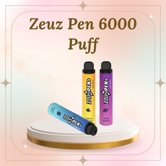 Zeuzpen 6000 Puff Disposable Vape Pen Rechargeable Type-C Singapore